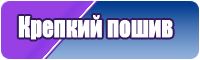 Лонгсливы брендовые